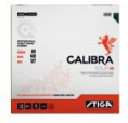 /album/novidades/calibra-tour-h-jpg/