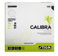 /album/novidades/calibra-tour-s-jpg/